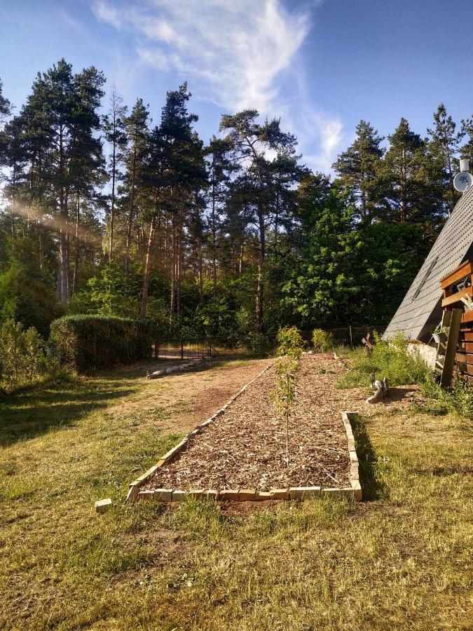 Uroczy Letniskowy Nad Jeziorem Bozepole Krolewskie