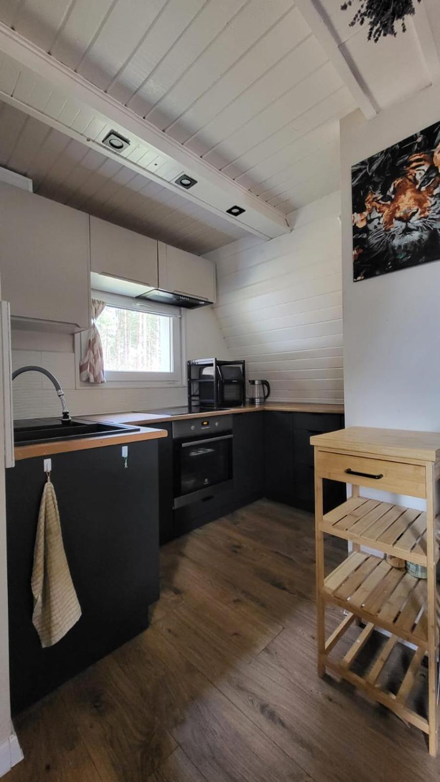 Kaszuby Nad Jeziorem, Las, Grill, Ognisko, Taras, 6 Osob Ferienhaus